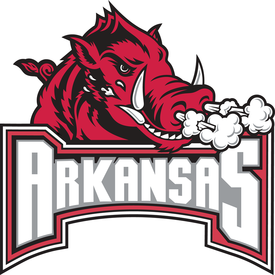 Arkansas Razorbacks 2001-2008 Secondary Logo iron on transfers for T-shirts